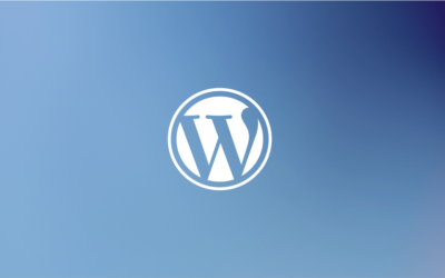 Do Professional Web Designers Use WordPress?